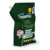 Consensus Liquid Laundry Detergent / Суперконцентрированное жидкое средство для стирки  (для всей семьи), аромат детской присыпки
